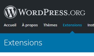 Des extensions pour WordPress!